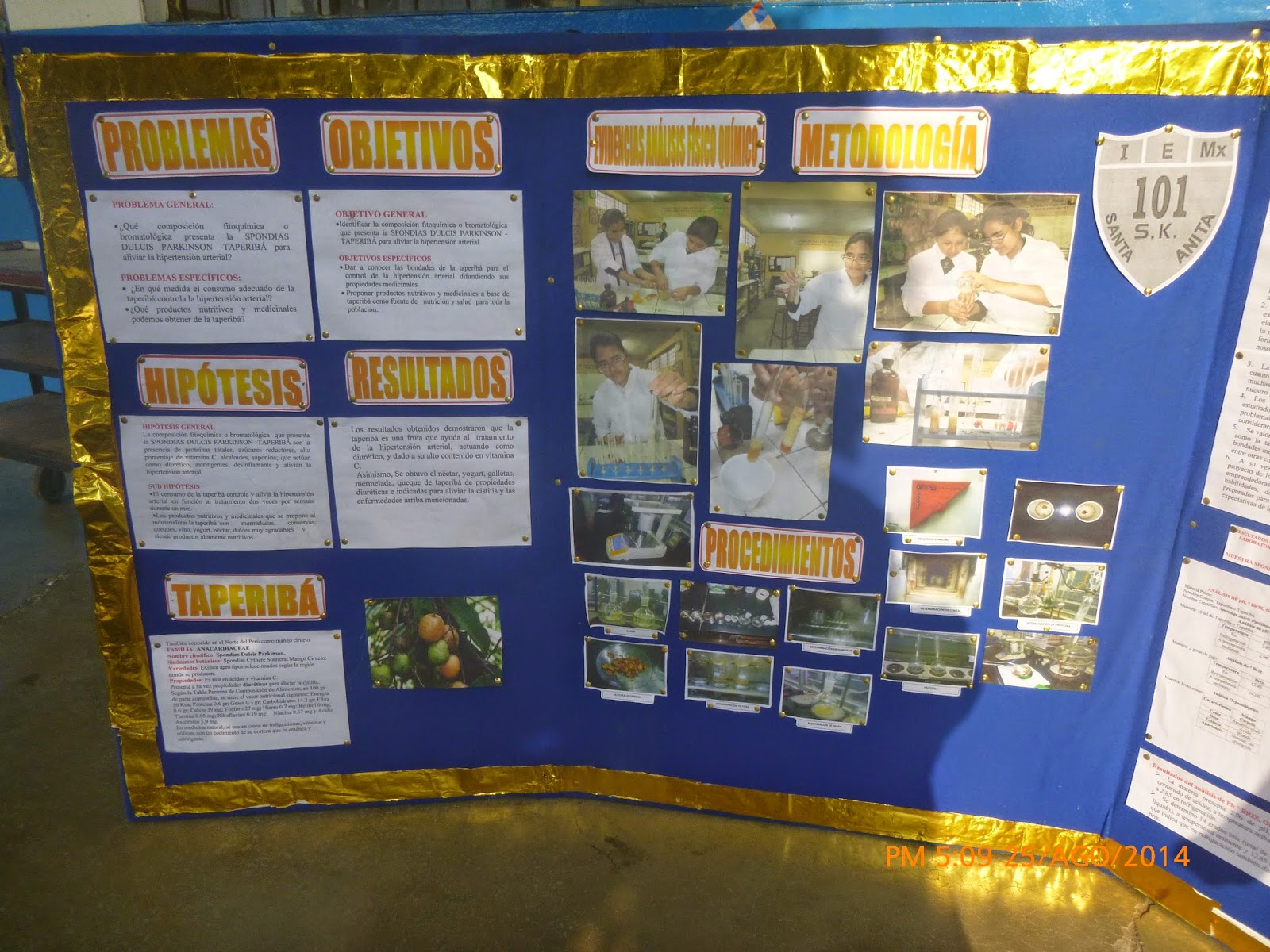 Modelo De Informe De Proyecto De Feria De Ciencias