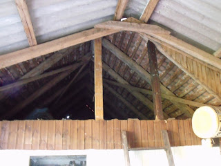 Neue Balken im Palmenwinterhaus (C) by Joachim Wenk Palmenwinterhaus (C) by Joachim Wenk
