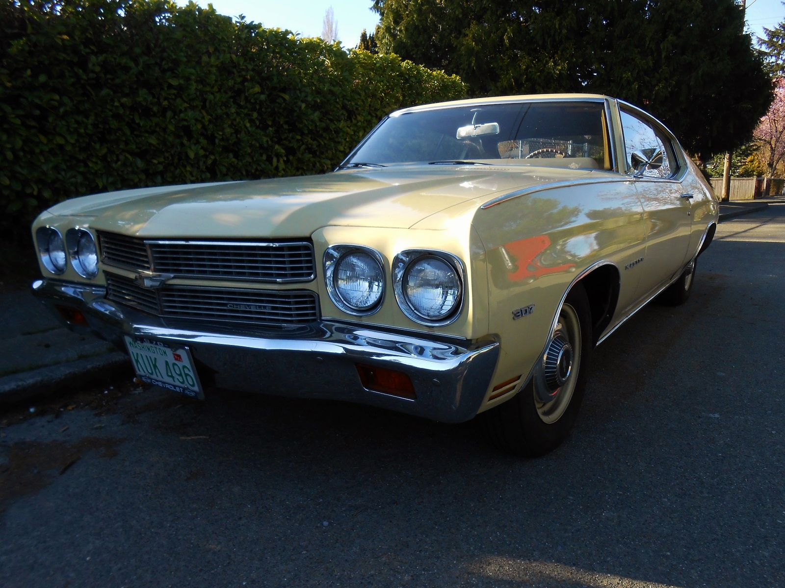 Chevrolet Malibu 1960