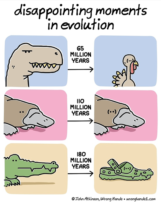 Today Science Humor 14 | Disappointing Moments in Evolution
