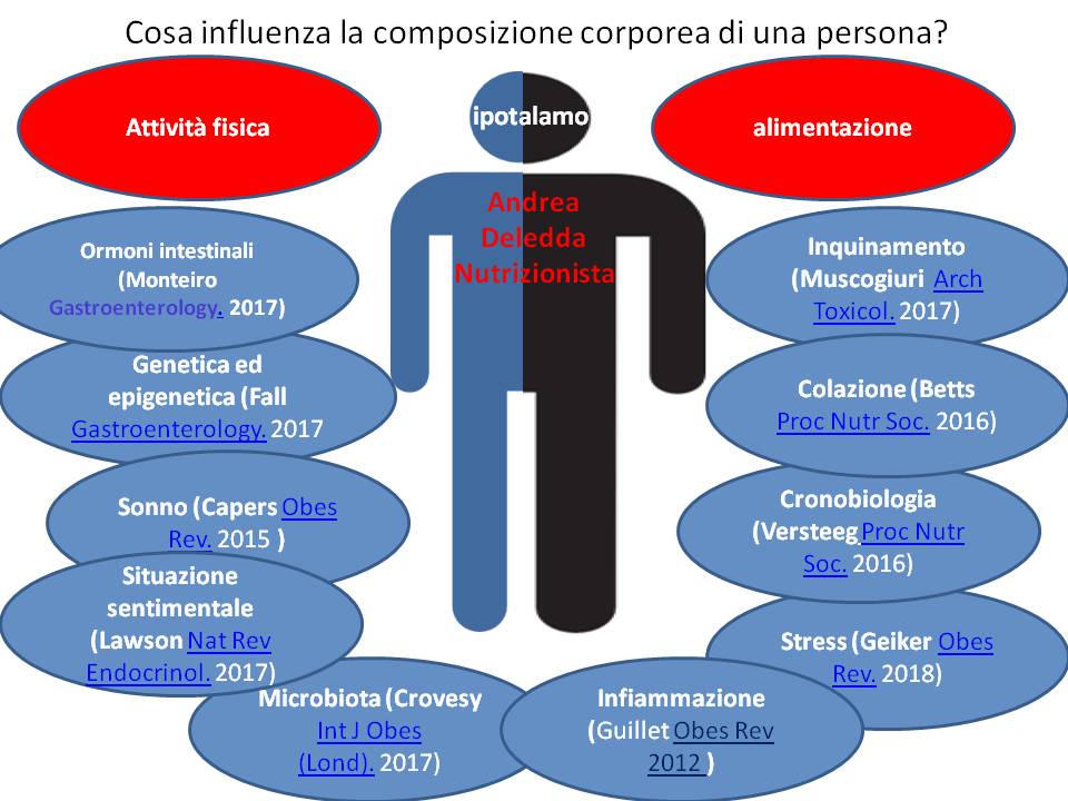 come perdere grasso ectopico
