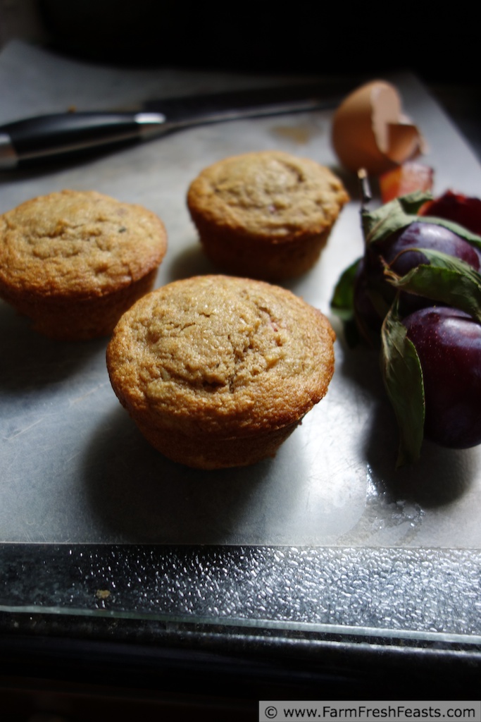 Farm Fresh Feasts Plum and WheySoaked Oat Muffins