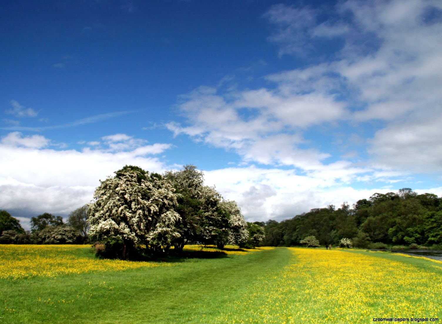 Cute Spring Desktop Wallpaper Wide Screen