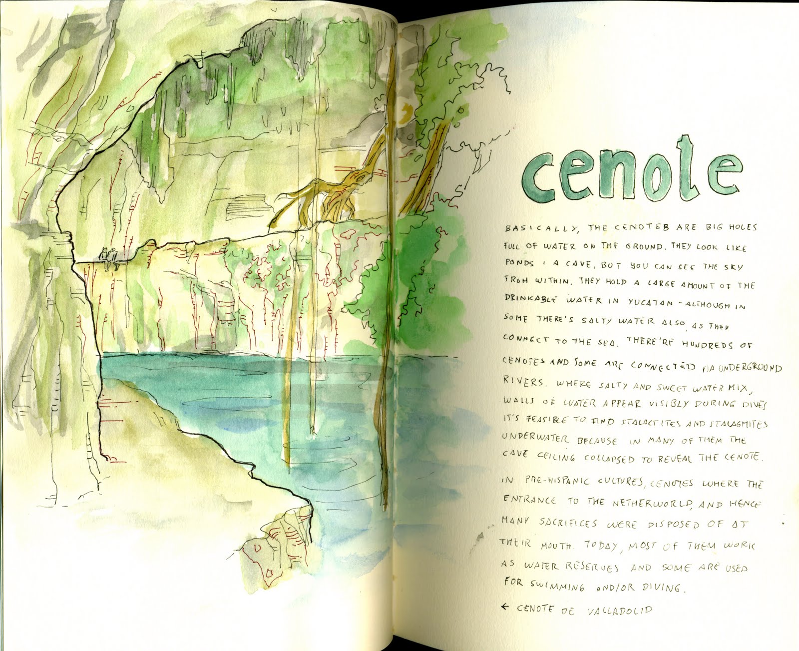 Urban Sketchers Spain. El mundo dibujo a dibujo.: Visitando los cenotes
