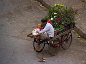 our world tuesday, handcart, potted plants, street, bandra east, entrepreneur, mumbai, india, 