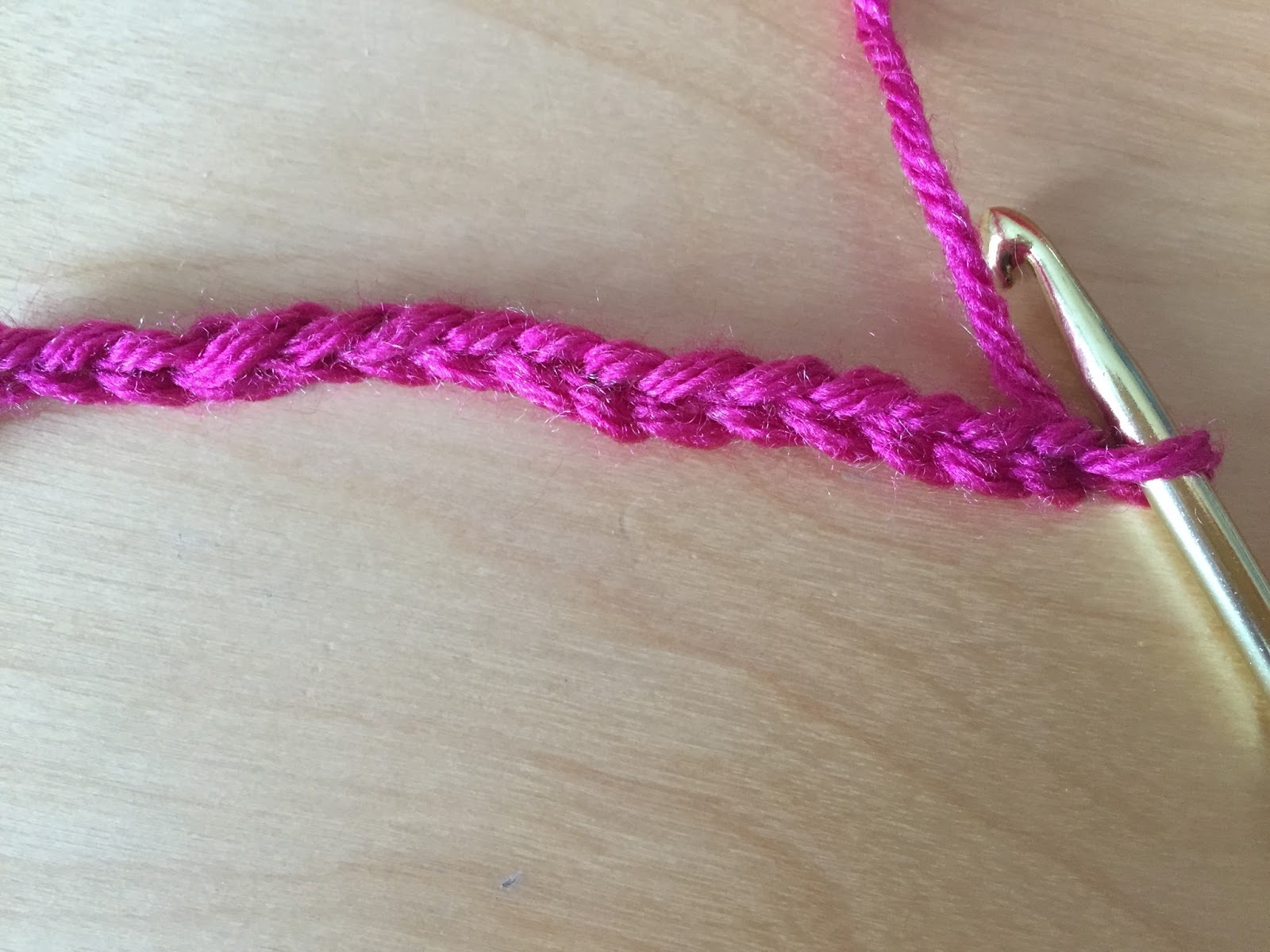 Skein and Hook Free Crochet Pattern Lee Change Purse