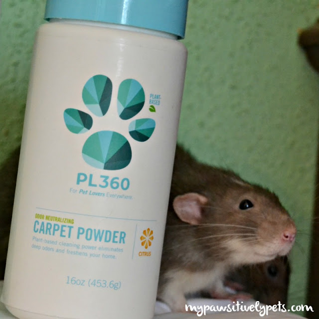 Natural and Safe Pet Products From PL360 Pawsitively Pets