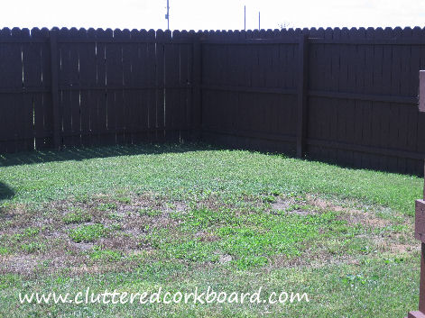 Sprucing Up The Yard 5 Diy Fire Pit Cluttered Corkboard