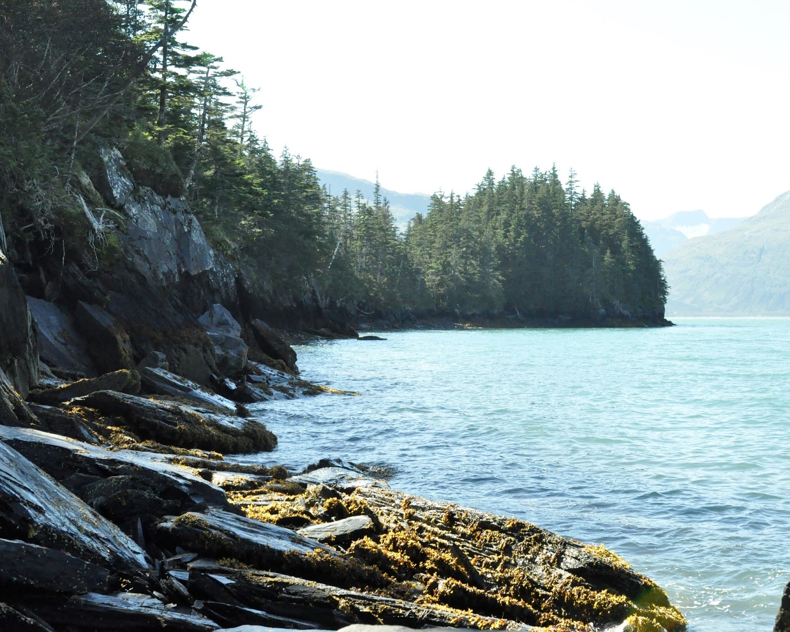 Heart Alaska Emerald Cove To The Beach