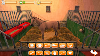 HorseWorld 3D My Riding Horse mod apk