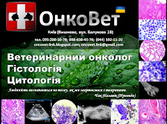 Діагностика та лікування раку у домашніх тварин в м.Києві.