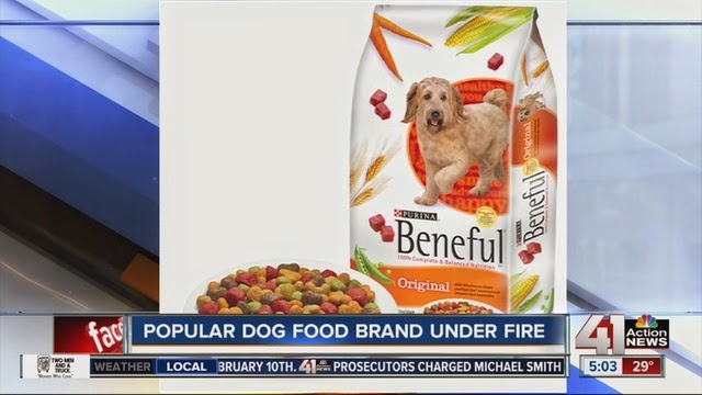 Pets N More Pet Food Recalls Is Your Pet S Brand On The List