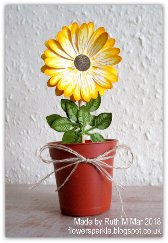 Flower Sparkle Daisy Congrats Card & Flower Pot Gift