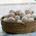 Benefits of Native Chicken Eggs for Health