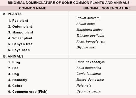 Kerala PSC Adda: List of Scientific Names of Common Plants and animals