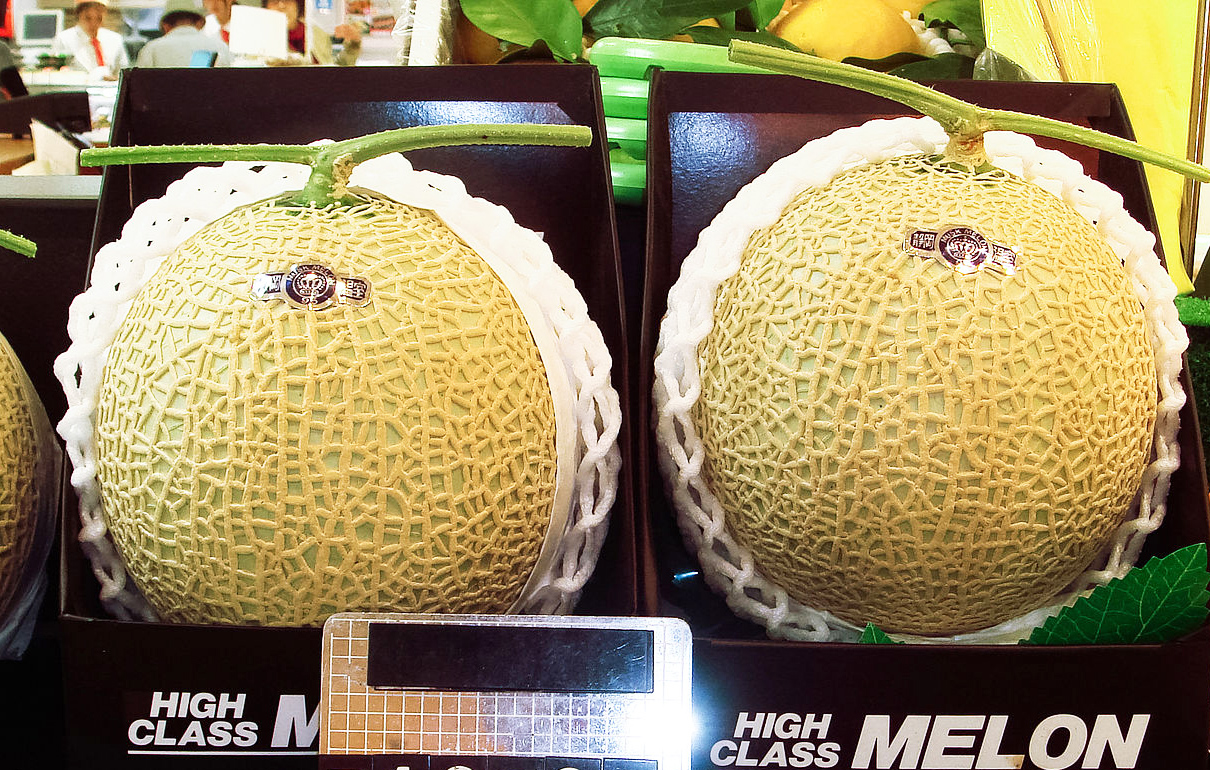 Yubari King, Buah Melon Termahal Di Dunia Seharga Rp 299 Juta sragen