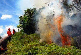 Pentingnya Udara Bersih Bagi Kehidupan Sehari-hari - Coretan Binder Hijau