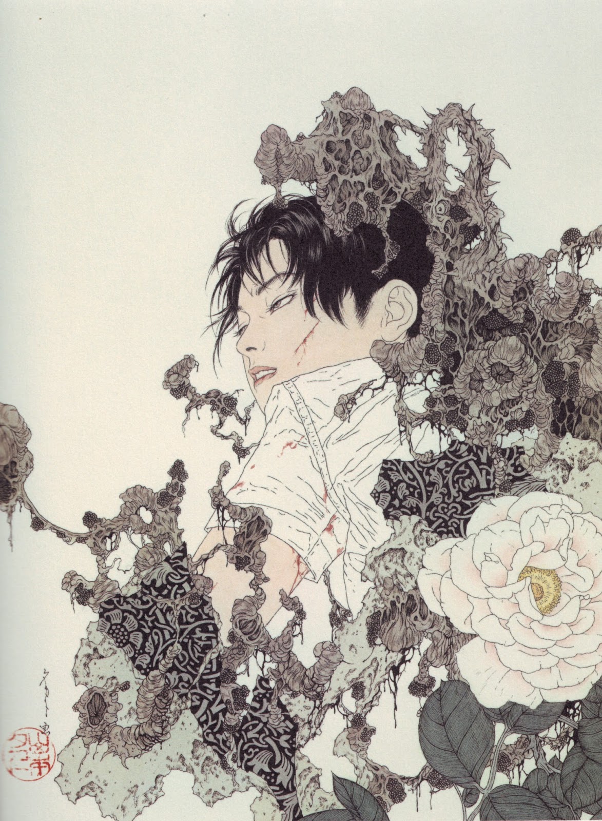 Fotógrafo Famoso del día: Takato Yamamoto ( Ilustrador )