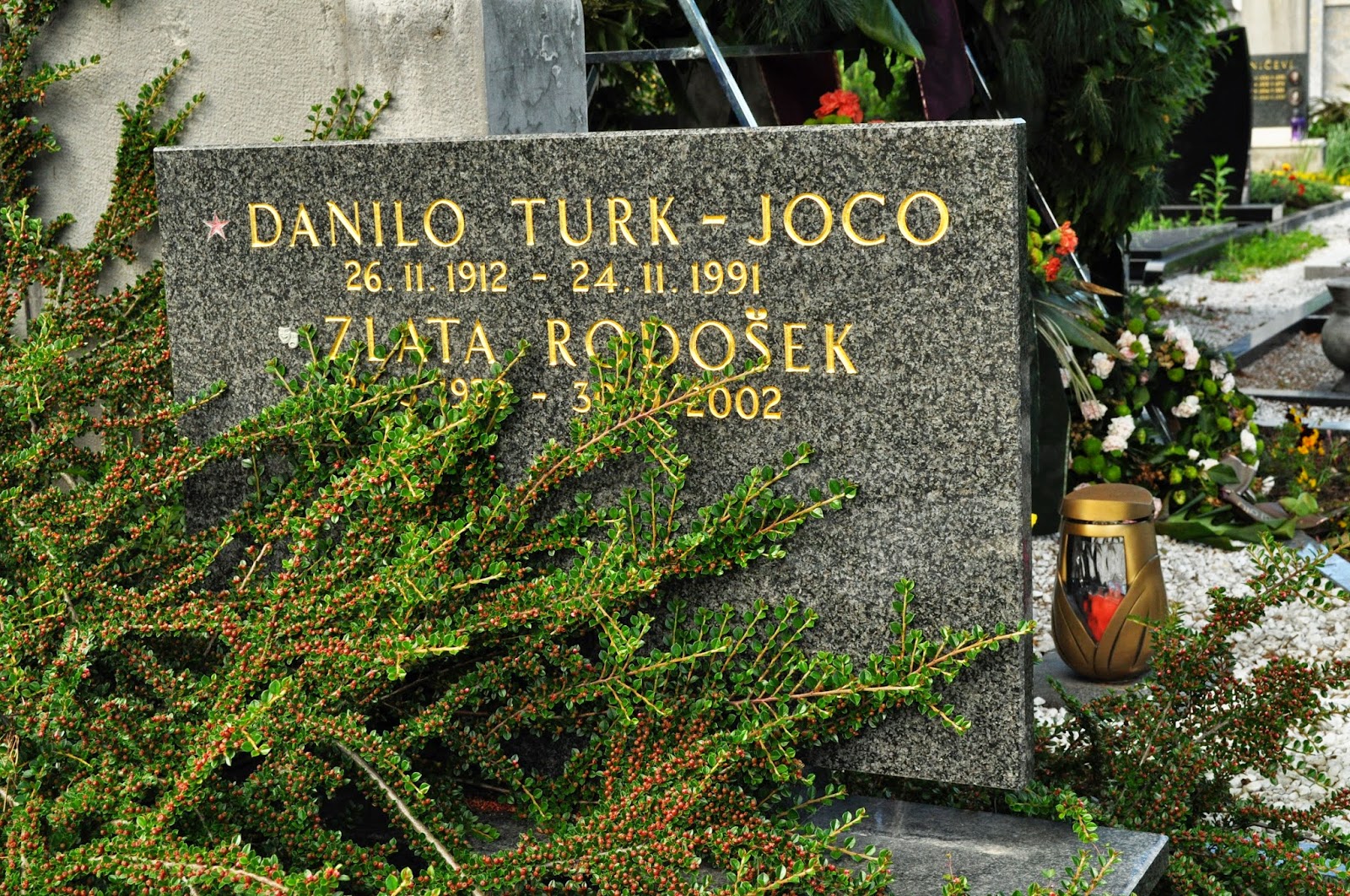 Zlata Rodošek in Danilo Turk-Joco