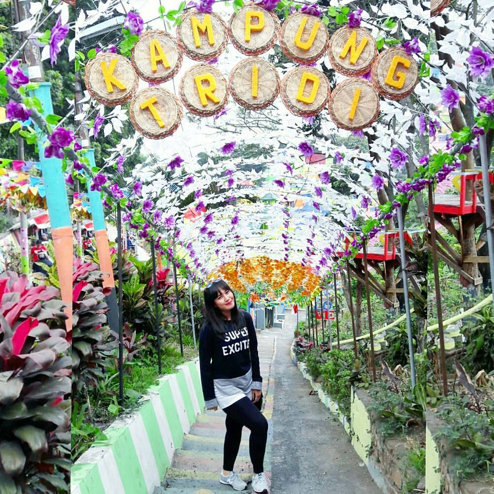 Background Cat Tumpah Warna Warni - status wa galau