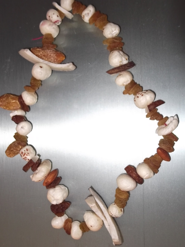 DEWS The School, Panchkula Dry Fruit Necklace making