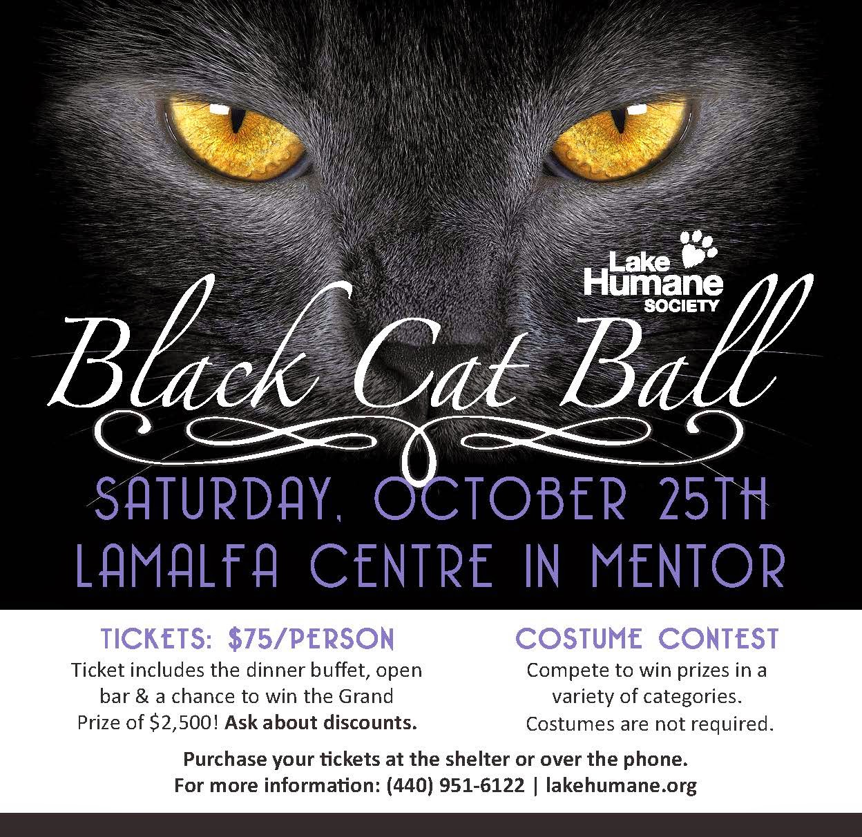 Lake Humane Society Black Cat Ball is Just Days Away