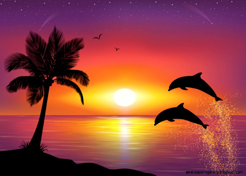 Sunset Wallpaper With Dolphins