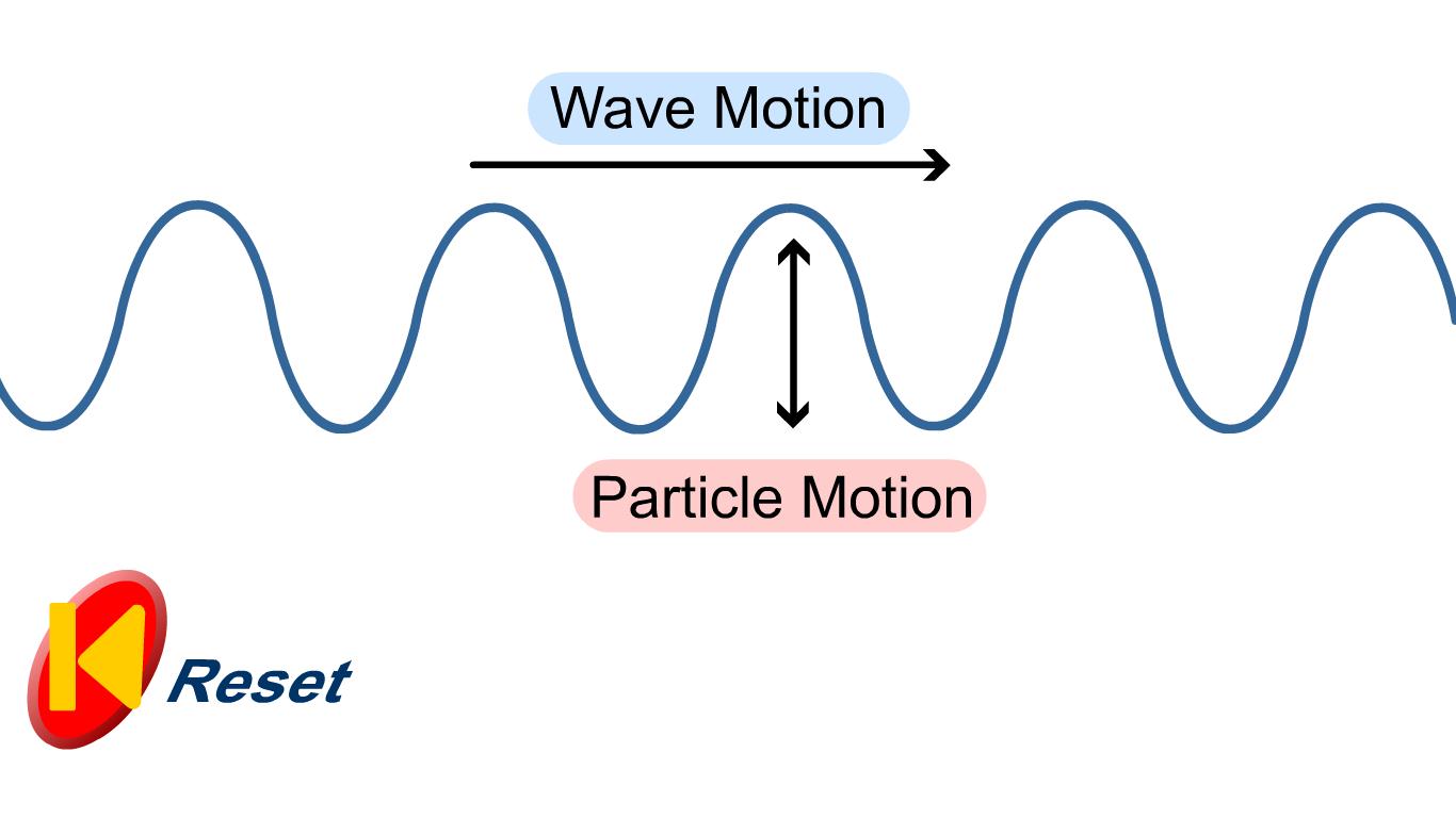 Characteristics Of Longitudinal And Transverse Waves Class 11 / The ...