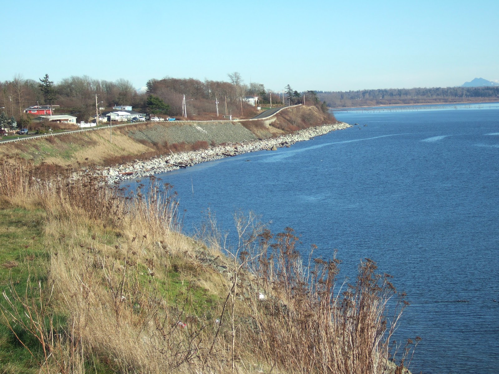 Reading the Washington Landscape Sun! and Bellingham Bay
