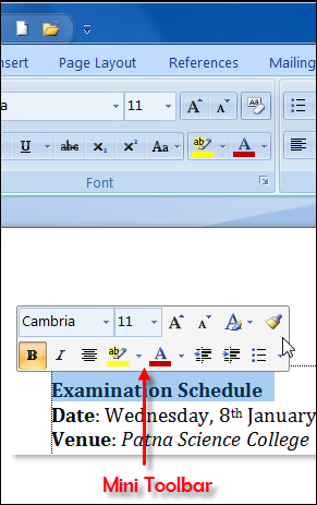 what is the mini toolbar in word what is the mini toolbar in word