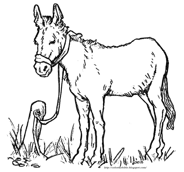 Free Preschool Printable Coloring Page Donkey Free Preschool Printable Coloring Page Donkey