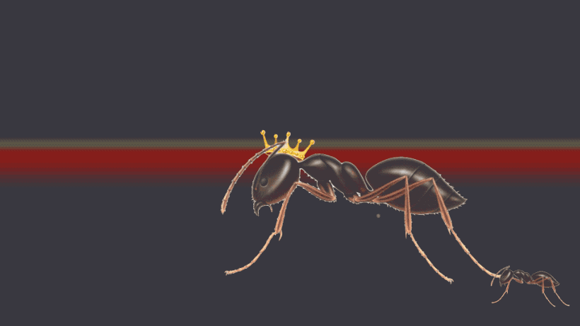 Lunching At Beautiful And Classic Restaurant In Brussels Belga