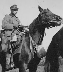 Horses in World War II worldwartwo.filminspector.com German mountain troops