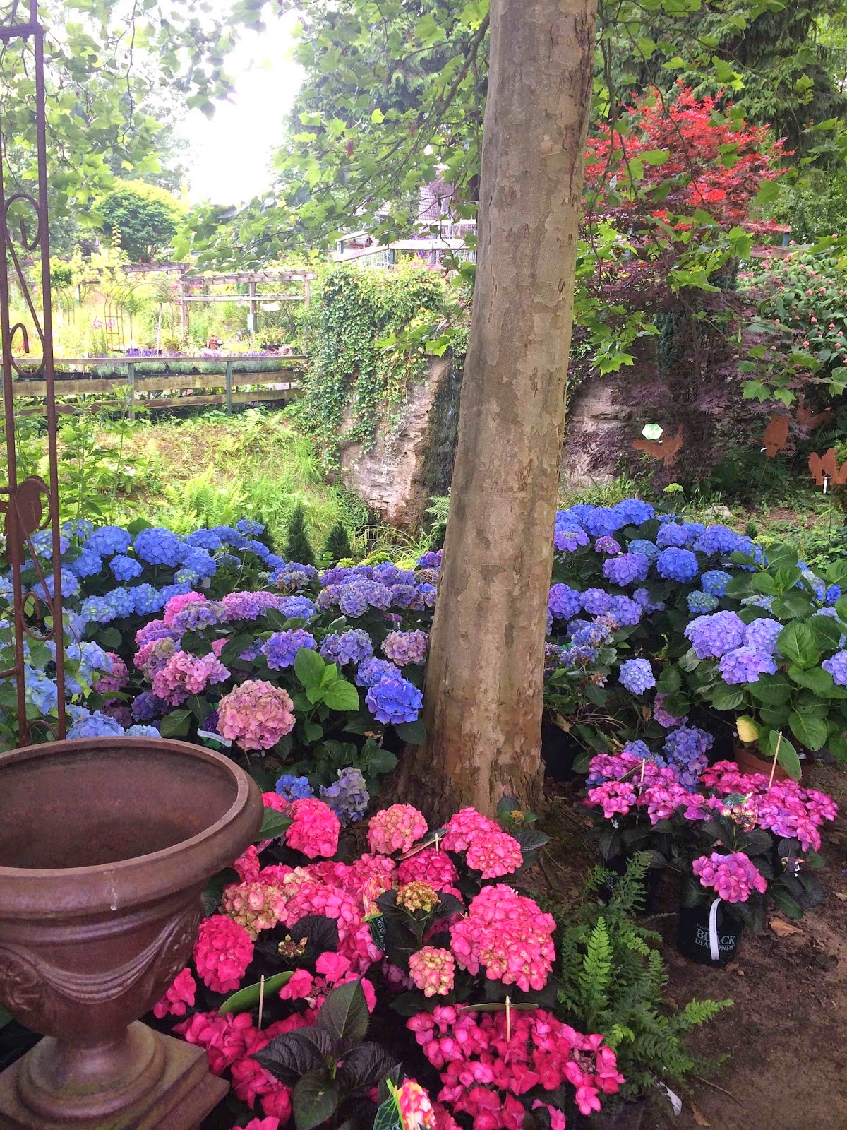 Store Check Pflanzenhof Rademacher In Birlinghofen Citylights Bonn