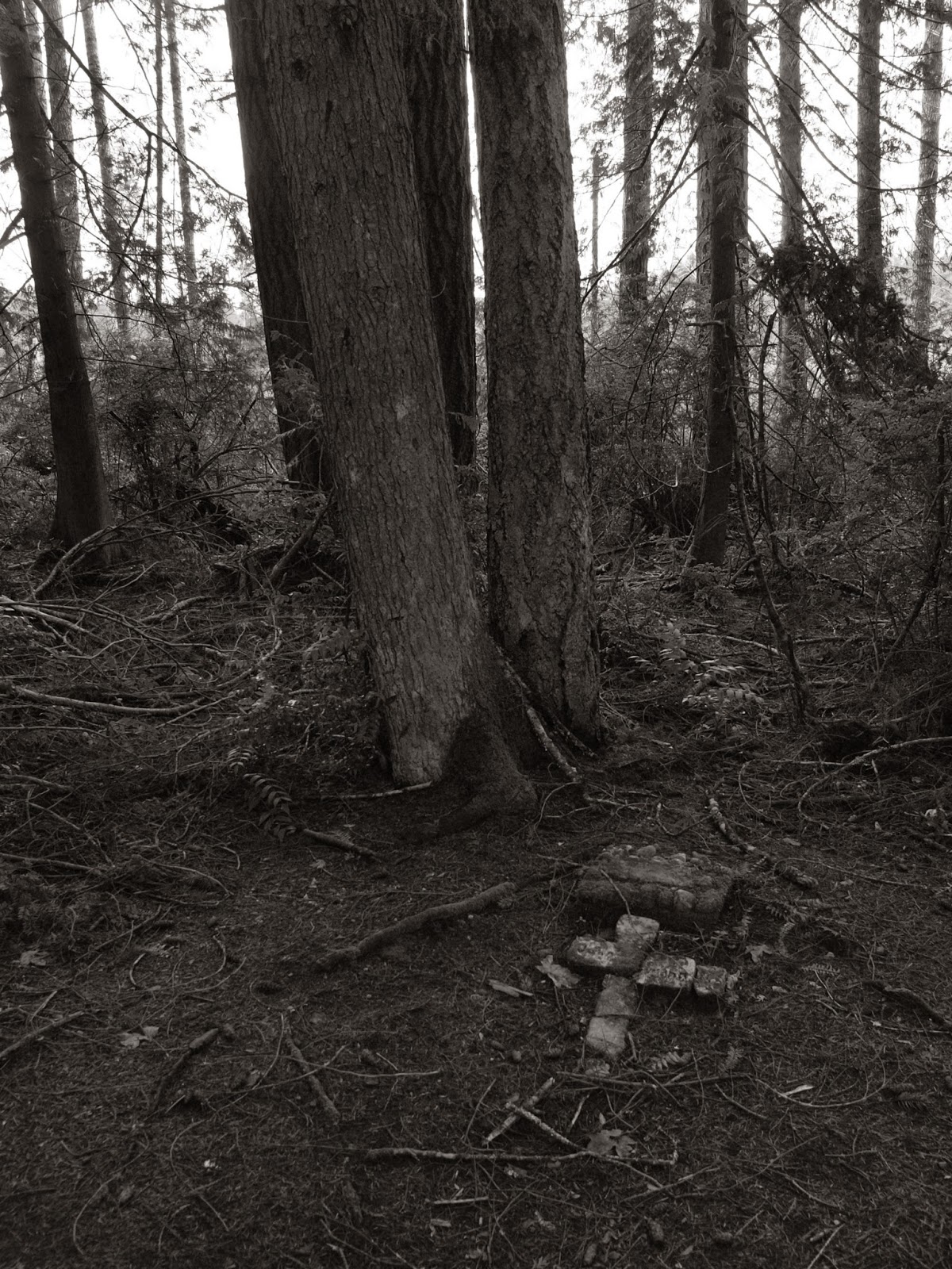 Uncovering the Forgotten Stories of Oklahoma's Cemetery Landmarks