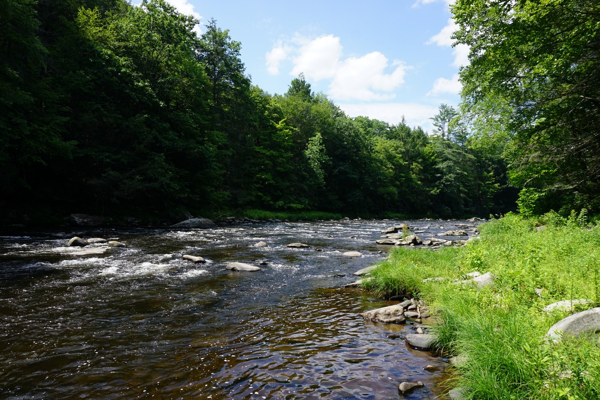 Harriman Hiker Harriman State Park and Beyond Neversink River Unique Area