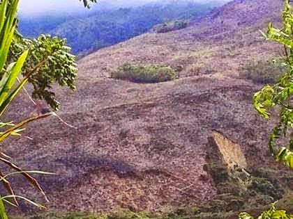 Desaprensivos estarían destruyendo cuenca hidrográfica Polo- Cabral‏