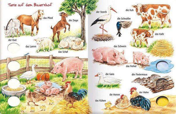 Was Hörst Du Auf Dem Bauernhof Deutsch: Tiere auf dem Bauernhof