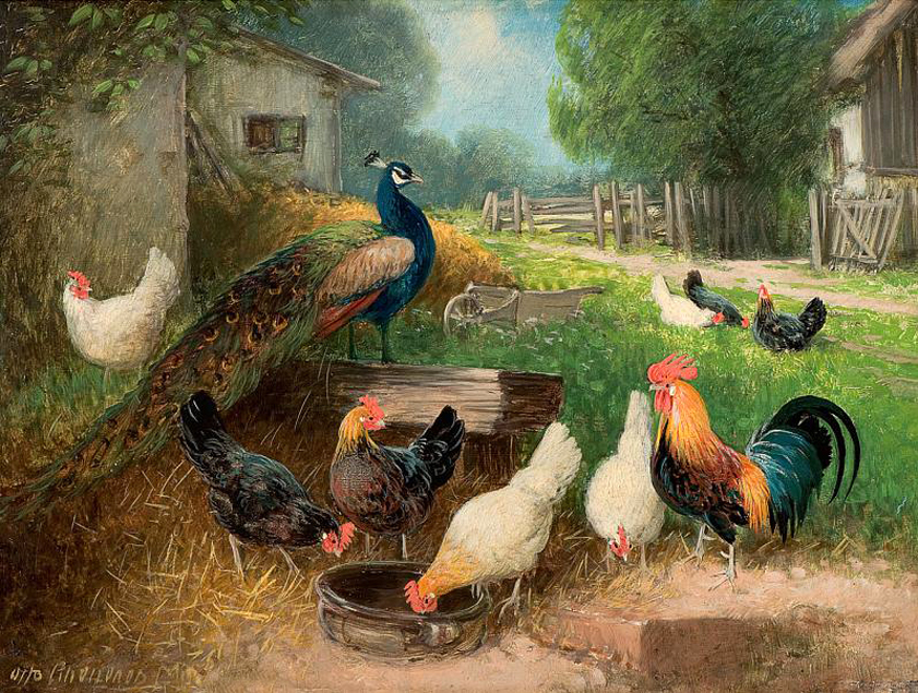 Дом домашние птицы. Julius Scheuerer 1859-1913 картины. Птичий двор Заболоцкий. Картина птичий двор. Птицы во дворе.