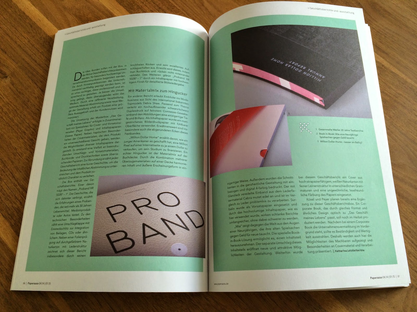 Geese Papier: Das Geschäft meines Lebens