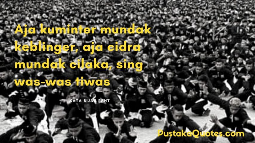 22 Kata Kata Bijak PSHT BIJAKSANA dan Memotivasi - Pustaka Quotes