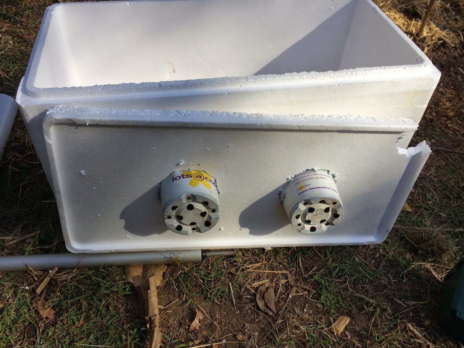 Chez Morgs: Self watering styrofoam planter