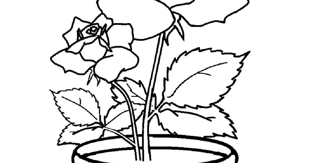 100 Gambar Bunga Mawar Beserta Potnya Paling Hist Gambar Pixabay