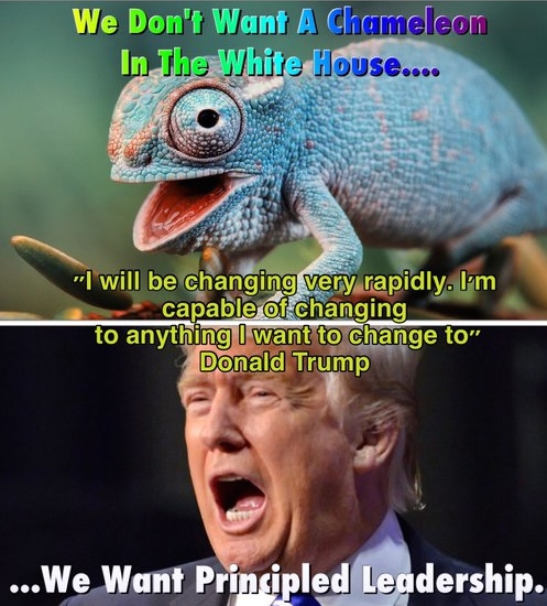 Trump%2Bchameleon.jpg