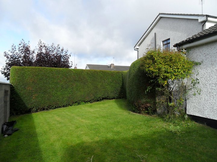 garden before front view this garden in drogheda co louth was 