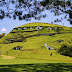 Hobbiton - the Real Hobbit Village in Matamata, New Zealand