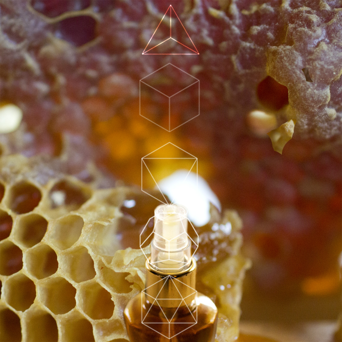 Illuminated Perfume To Bee Eau de Parfum!