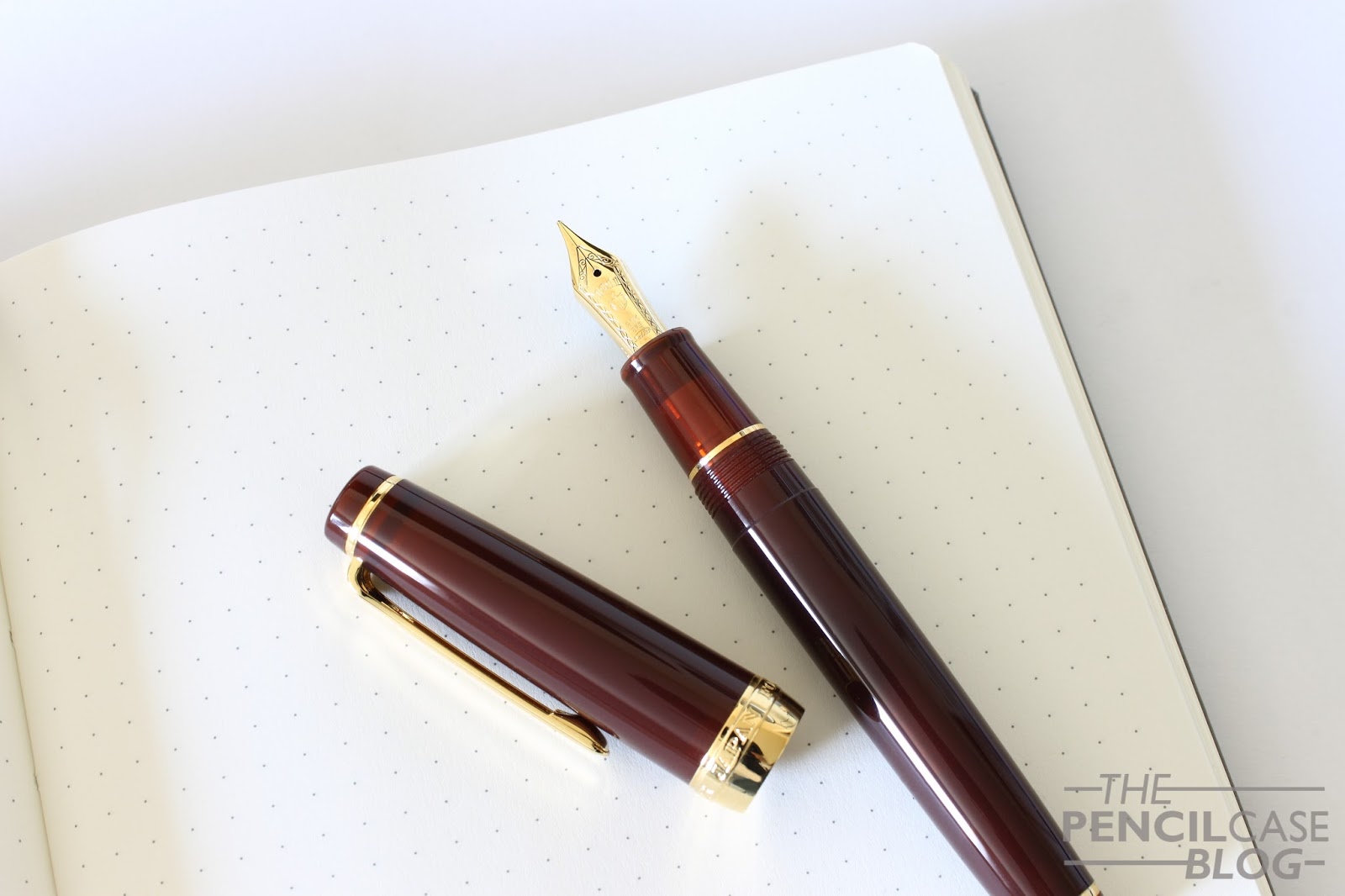 SAILOR PRO GEAR EARTH FOUNTAIN PEN REVIEW The Pencilcase Blog