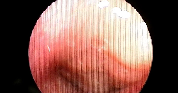 Prof. Dr.Erkan TARHAN