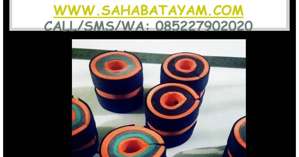 Grosir Barbel Ayam, Suplayer Barbel Ayam, Agen Barbel Ayam, Distributor